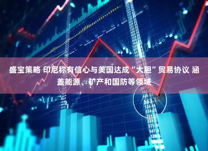盛宝策略 印尼称有信心与美国达成“大胆”贸易协议 涵盖能源、矿产和国防等领域